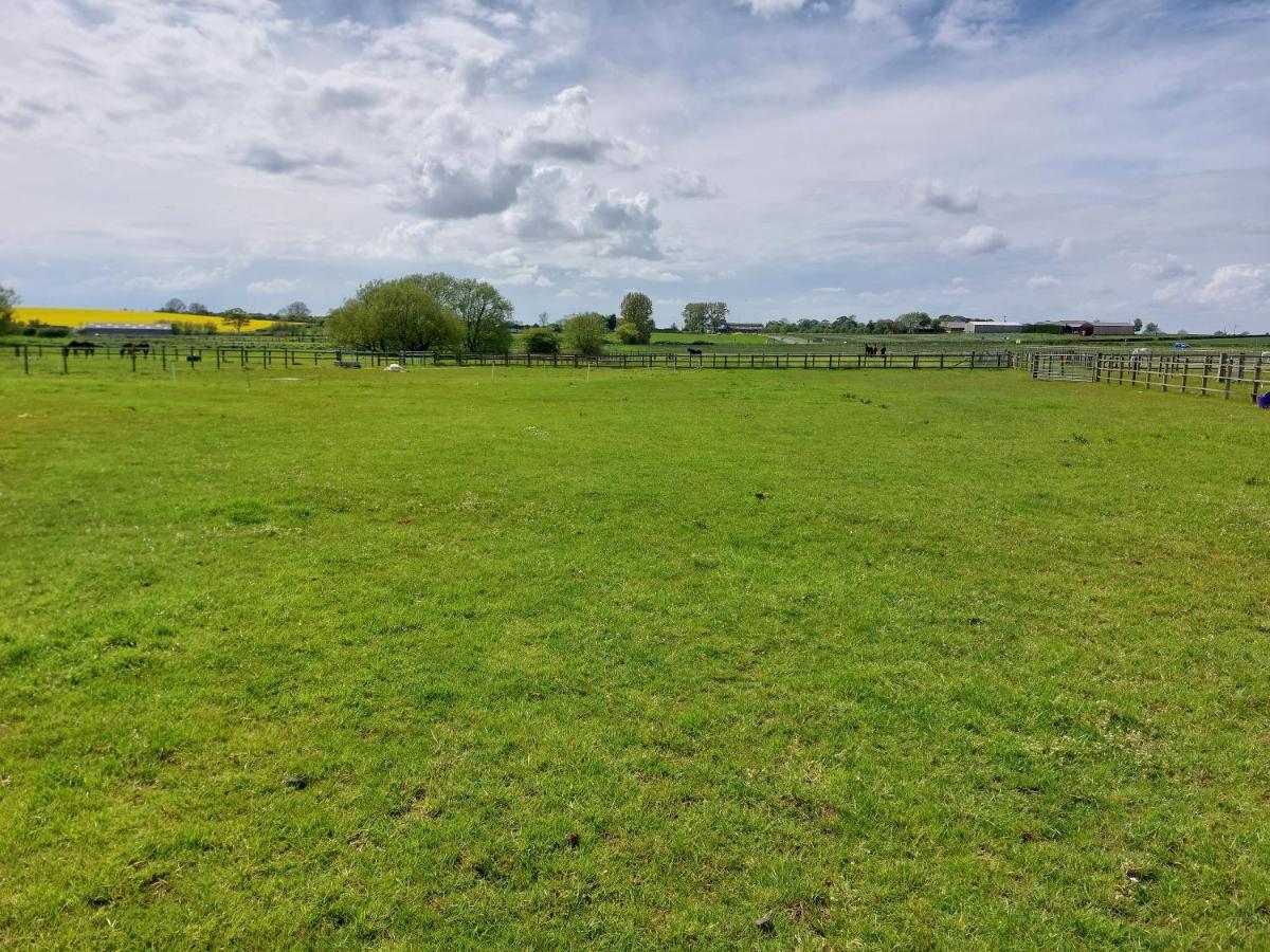 Braemar Equestrian, East Riding Of Yorkshire Hotel Burton Pidsea Bagian luar foto